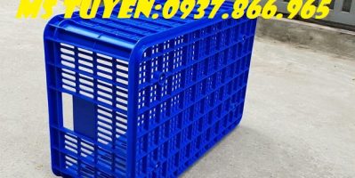 Sọt dung phổ biến kho bãi, sọt nguyên sinh, giá sọt nhựa, bán sọt toàn quốc