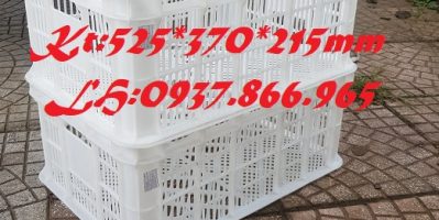 Sóng hở( sọt nguyên sinh), khay nhựa rỗng, thùng hở, sọt nhựa, sọt đựng đồ