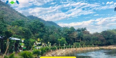 Lái Thiêu Đà Nẵng – “Thiên Đường Xanh” Giữa Núi Rừng Cho Những Ai Muốn Trốn Phố