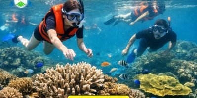 Đà Nẵng 4 Ngày 3 Đêm – Vì Sao Hành Trình Này Khiến Du Khách Mê Mẩn?