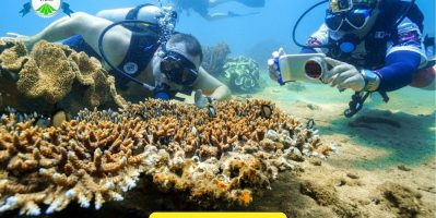 Thời Gian Lý Tưởng Để Khám Phá Cù Lao Chàm