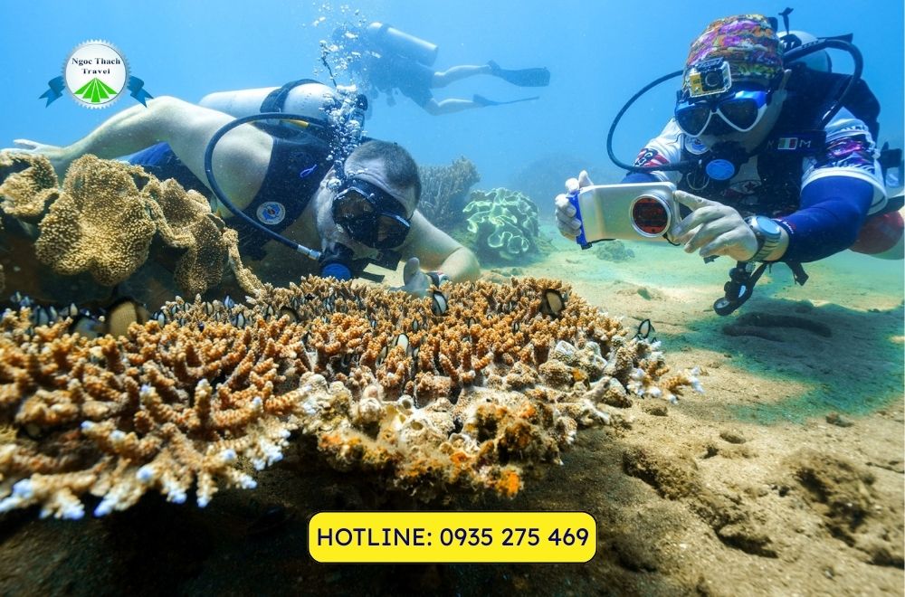 Thời Gian Lý Tưởng Để Khám Phá Cù Lao Chàm