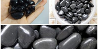 Sỏi Đen Lát Sân – Xu Hướng Trang Trí Ngoài Trời 2026
