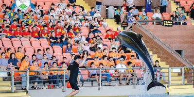 Show cá heo Đà Nẵng có phù hợp cho trẻ em và gia đình không?