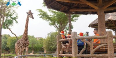 River Safari – Hành trình khám phá thế giới động vật tại VinWonders Nam Hội An