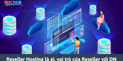 Reseller Hosting Là Gì? Hướng Dẫn Toàn Diện Cho Người Mới