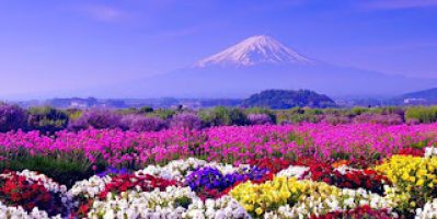 Du lịch hè Nhật Bản tận hưởng không khí mát dịu