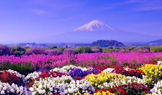 Du lịch hè Nhật Bản tận hưởng không khí mát dịu