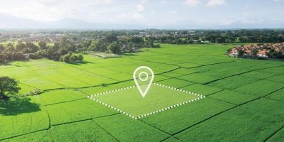 Đất chưa sử dụng là gì? Gồm những loại đất nào?