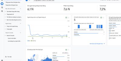 Check Traffic Website Là Gì? Hướng Dẫn Kiểm Tra Lưu Lượng Website Chi Tiết