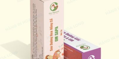 In hộp giấy giá rẻ tại Hà Nội đẹp tốt
